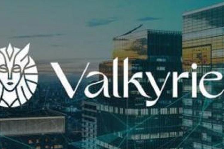Valkyrie Vies เพื่อจัดการคลังของบริษัท Crypto
